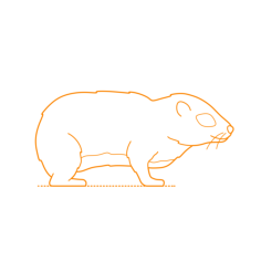 Animals Hyraxes Western Tree Hyrax Sketch Style Svg Vector, Free Vectors File